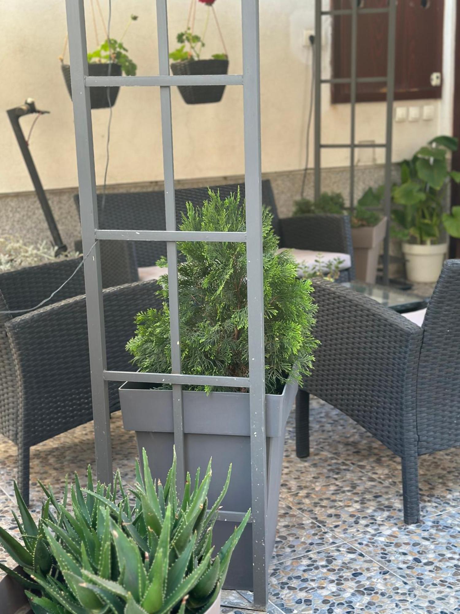 Appartement Lilyy à Leskovac  Extérieur photo