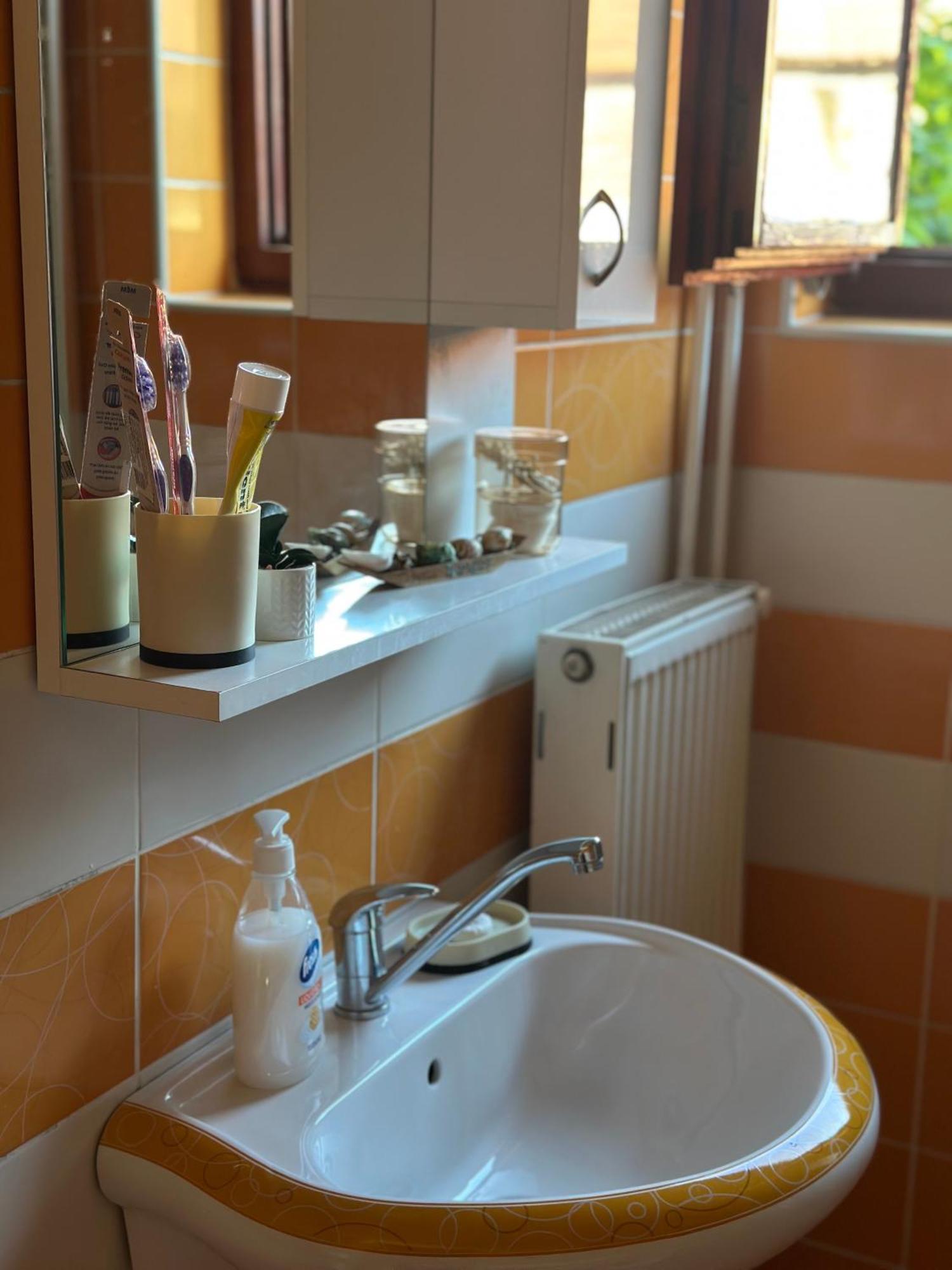 Appartement Lilyy à Leskovac  Extérieur photo