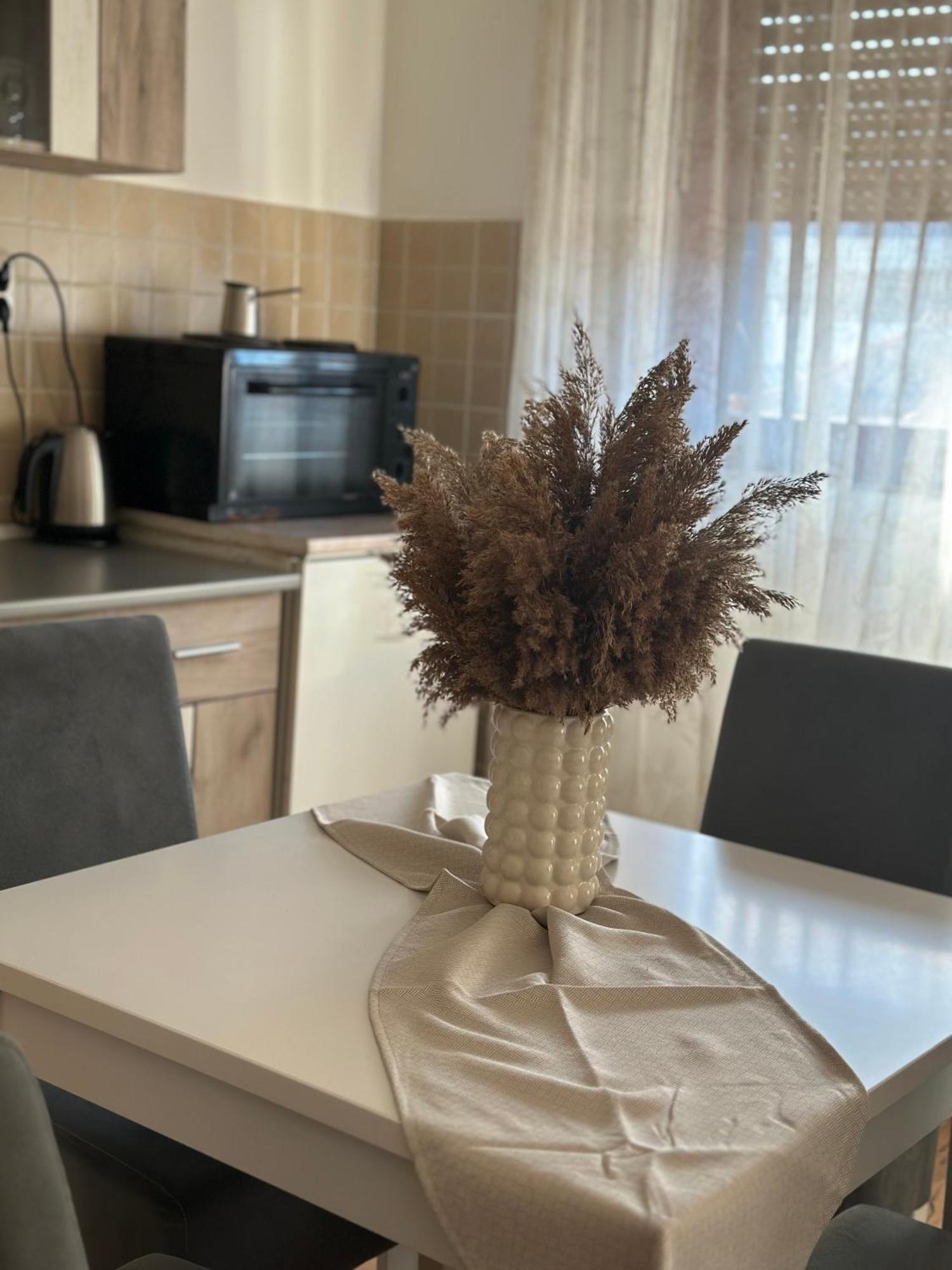 Appartement Lilyy à Leskovac  Extérieur photo